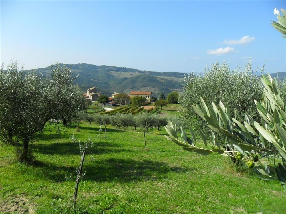 La Cinci Allegra Valfabbrica Εξωτερικό φωτογραφία